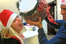 „Maltesers“ konkursas